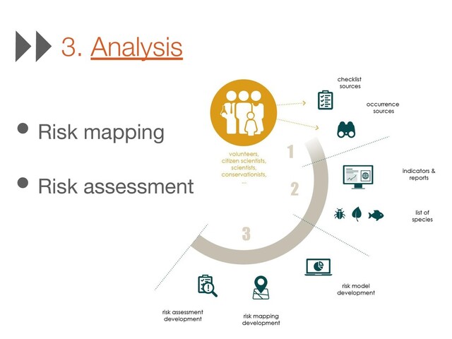 3. Analysis
• Risk mapping
• Risk assessment
