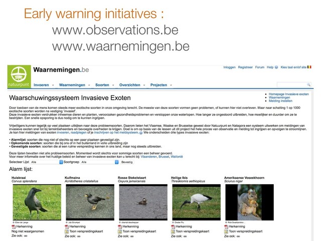 Early warning initiatives :
www.observations.be
www.waarnemingen.be
