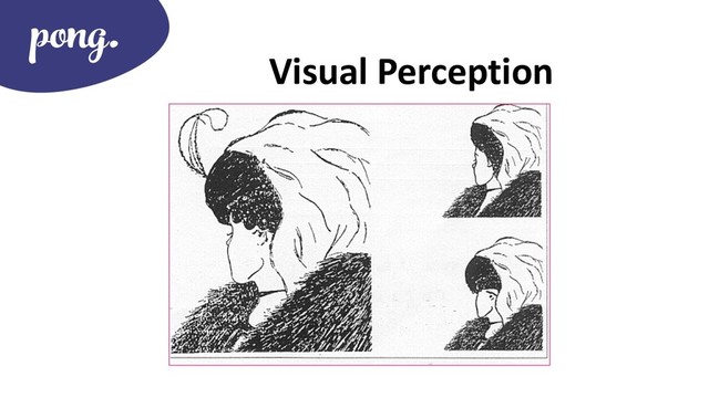 Visual Perception
