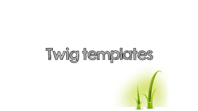 Twig templates
