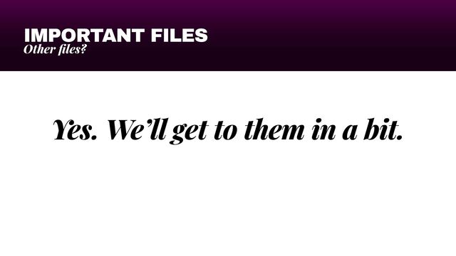 IMPORTANT FILES
Other
fi
les?
Yes. We’ll get to them in a bit.
