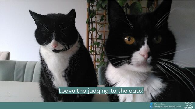 @kenny_baas
@kenny_baas@mastodon.social
Leave the judging to the cats!
