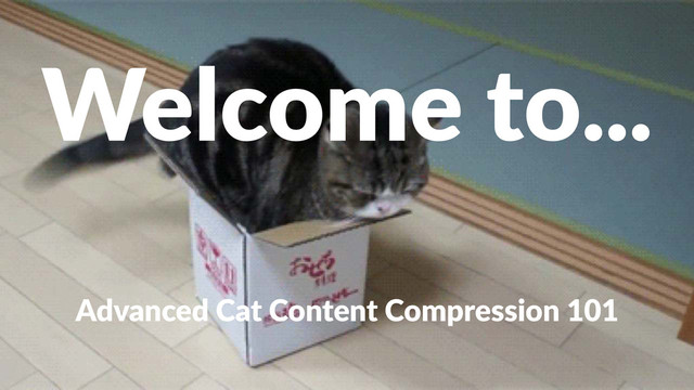 Welcome'to...
Advanced(Cat(Content(Compression(101
