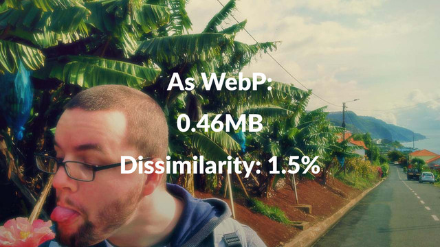 As#WebP:
0.46MB
Dissimilarity:+1.5%
