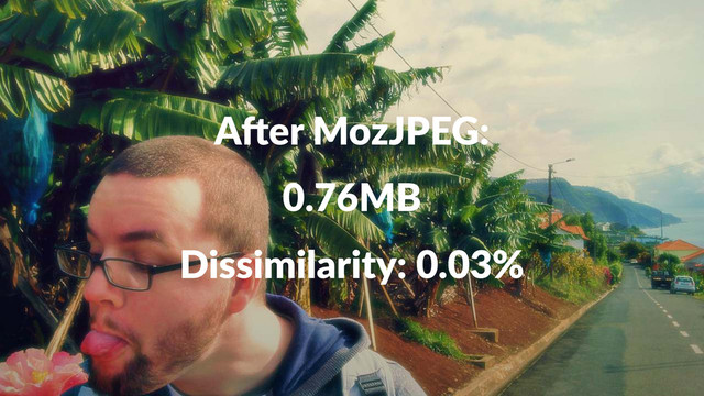 A"er%MozJPEG:
0.76MB
Dissimilarity:+0.03%
