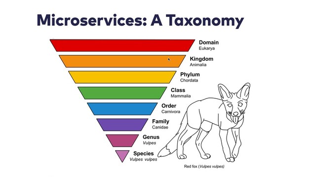 Microservices: A Taxonomy
