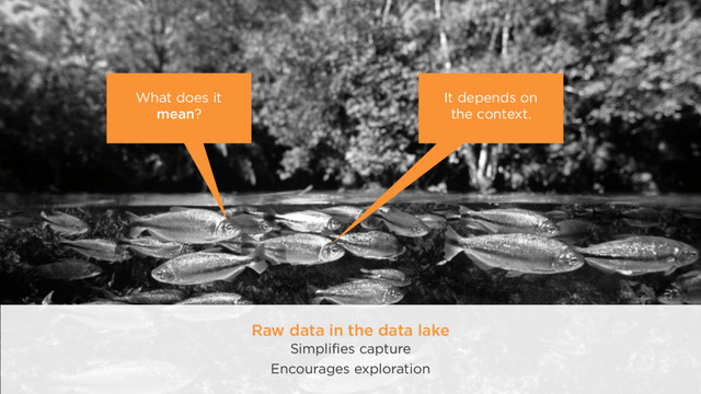 What does it 
mean?
It depends on 
the context.
Raw data in the data lake 
Simplifies capture
Encourages exploration

