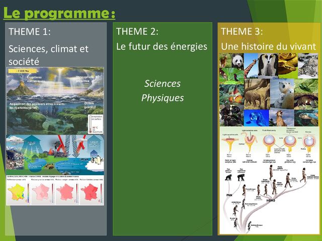 THEME 1:
Sciences, climat et
société
THEME 2:
Le futur des énergies
Sciences
Physiques
THEME 3:
Une histoire du vivant
Le programme :
