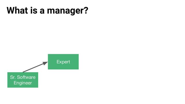 What is a manager?
Sr. Software
Engineer
Expert
