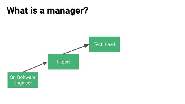 What is a manager?
Sr. Software
Engineer
Tech Lead
Expert
