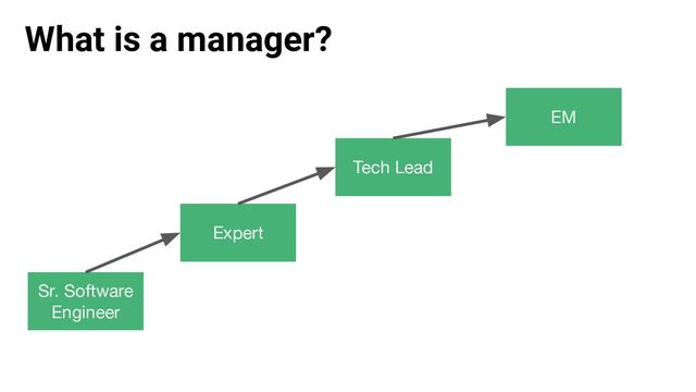 What is a manager?
Sr. Software
Engineer
Tech Lead
EM
Expert
