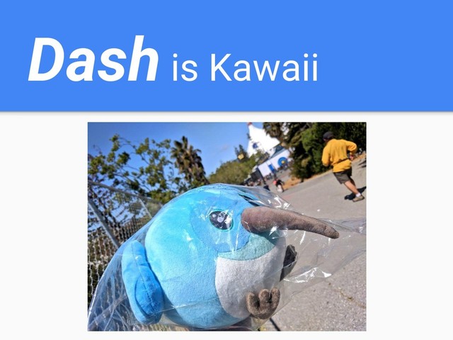 Dash is Kawaii
