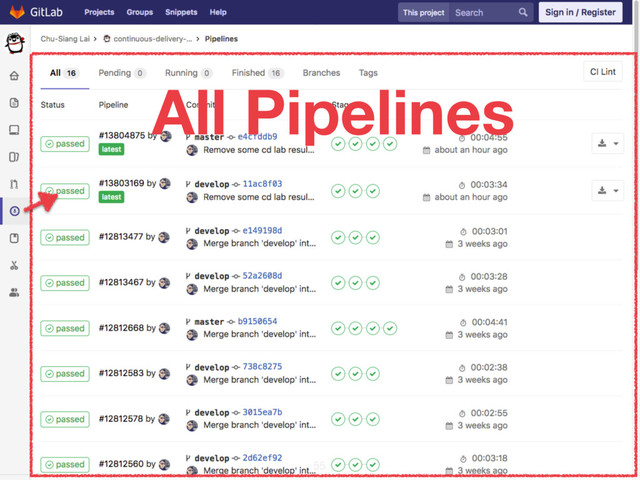 All Pipelines
55
