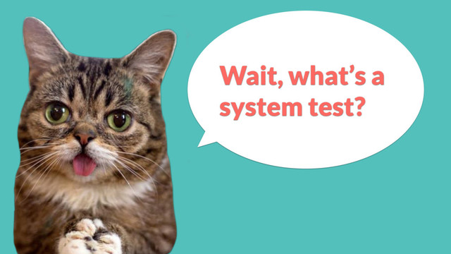 Wait, what’s a
system test?
