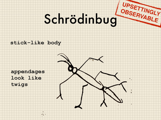 Schrödinbug
stick-like body
appendages
look like
twigs
UPSETTINGLY
OBSERVABLE
