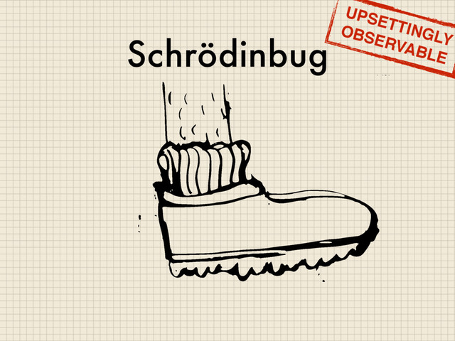 Schrödinbug
UPSETTINGLY
OBSERVABLE
