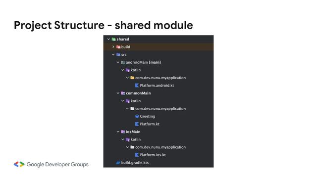 Project Structure - shared module
