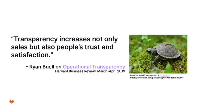 “Transparency increases not only
sales but also people’s trust and
satisfaction.”
- Ryan Buell on Operational Transparency
Harvard Business Review, March-April 2019
Baby Turtle 023 by cygnus921, CC BY 2.0,
https://www.flickr.com/photos/cygnus921/2581020296/
