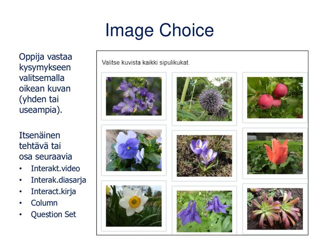 Image Choice
Oppija vastaa
kysymykseen
valitsemalla
oikean kuvan
(yhden tai
useampia).
Itsenäinen
tehtävä tai
osa seuraavia
• Interakt.video
• Interak.diasarja
• Interact.kirja
• Column
• Question Set
