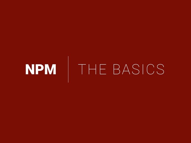 NPM THE BASICS

