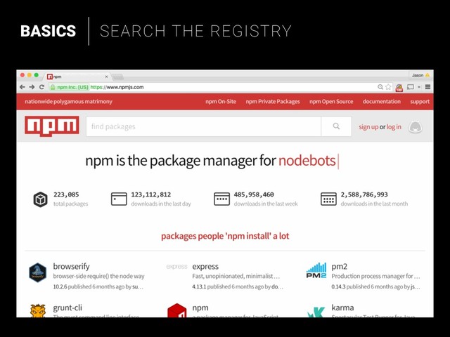 BASICS SEARCH THE REGISTRY
