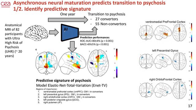 17
Asynchronous neural maturation predicts transition to psychosis
1/2. Identify predictive signature
ventromedial PreFrontal Cortex
right OrbitoFrontal Cortex
left Precentral Gyrus
Anatomical
MRI of 82
participants
with Ultra
High Risk of
Psychosis
(UHR) (~ 20
years)
Transition to psychosis
- 27 convertors
- 55 Non-convertors
One year
AI
Prediction performances
ROC-AUC=80±4% (p < 0.001)
BACC=69±5% (p < 0.001)
Predictive signature of psychosis
Model Elastic-Net-Total-Variation (Enet-TV)
Regions of importance:
1. ventromedial prefrontal cortex (vmPFC): GM ↑ in convertors
2. left precentral gyrus (lPG): GM ↓ in convertors
3. right orbitofrontal cortex (rOFC): GM ↓ in convertors
4. left posterior cingulate gyrus (lpCG),
5. right putamen (rP).
