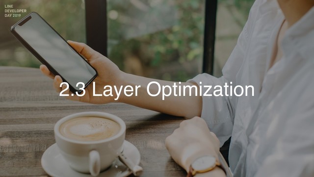 2.3 Layer Optimization
