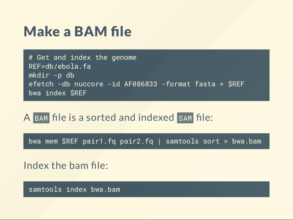 bam file format column