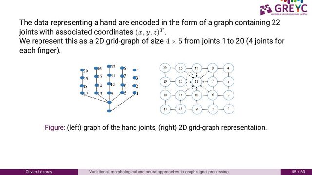 The data representing a hand are encoded in the form of a graph containing
joints with associated coordinates (x, y, z)T .
We represent this as a D grid-graph of size 4 × 5 from joints to ( joints for
each ﬁnger).
Figure: (left) graph of the hand joints, (right) D grid-graph representation.
Olivier L´
ezoray Variational, morphological and neural approaches to graph signal processing / 6
