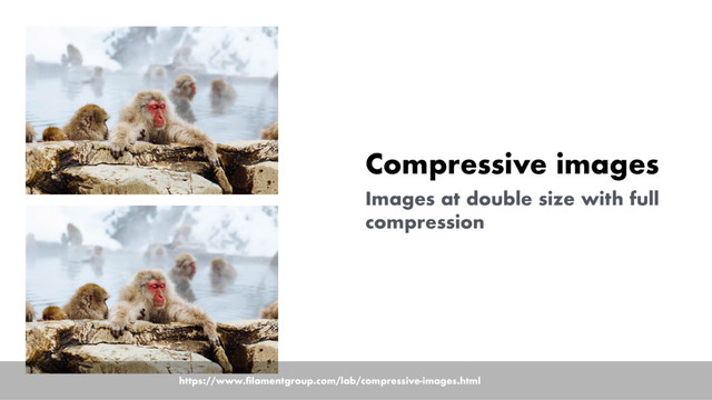Compressive images
Images at double size with full
compression
https://www.ﬁlamentgroup.com/lab/compressive-images.html
