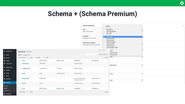 Schema + (Schema Premium)
