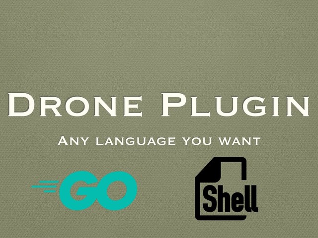 Drone Plugin
Any language you want

