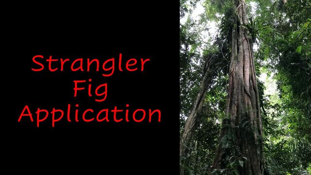 Strangler
Fig
Application

