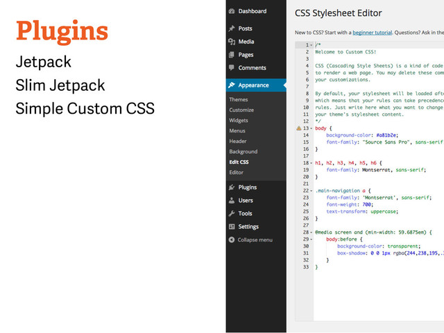 Plugins
Jetpack
Slim Jetpack
Simple Custom CSS

