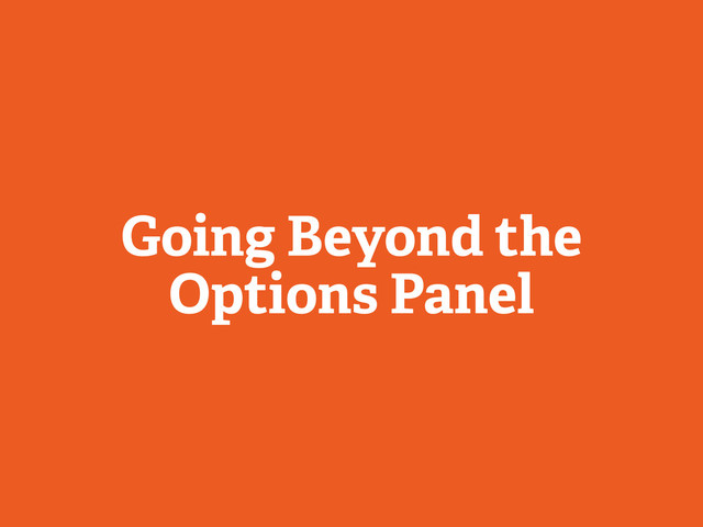 Going Beyond the
Options Panel

