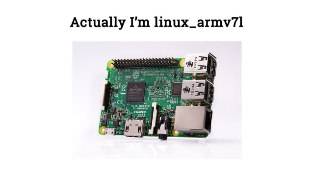 Actually I’m linux_armv7l
