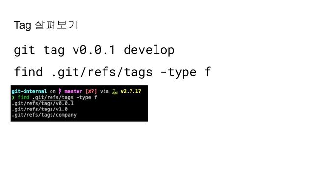 Tag 살펴보기
git tag v0.0.1 develop
find .git/refs/tags -type f
