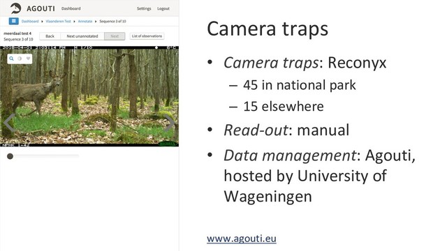 Camera traps
•  Camera traps: Reconyx
–  45 in national park
–  15 elsewhere
•  Read-out: manual
•  Data management: Agouti,
hosted by University of
Wageningen
www.agouti.eu
