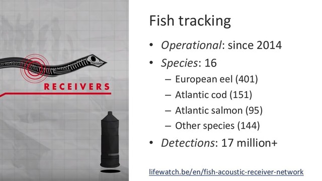 Fish tracking
•  Operational: since 2014
•  Species: 16
–  European eel (401)
–  Atlantic cod (151)
–  Atlantic salmon (95)
–  Other species (144)
•  Detections: 17 million+
lifewatch.be/en/fish-acoustic-receiver-network
