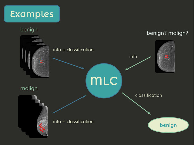benign
malign
Examples
MLC
– benign? malign?
benign
classification
info + classification
info + classification
info
