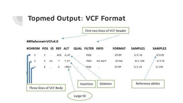 Topmed Output: VCF Format
