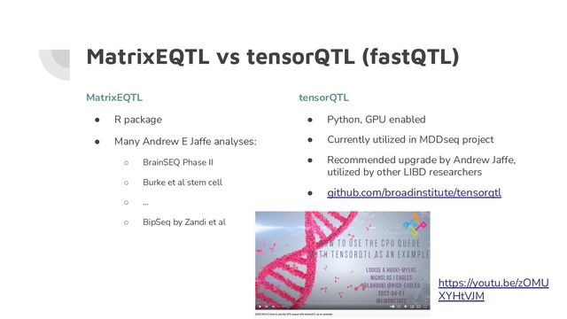 MatrixEQTL vs tensorQTL (fastQTL)
MatrixEQTL
● R package
● Many Andrew E Jaffe analyses:
○ BrainSEQ Phase II
○ Burke et al stem cell
○ …
○ BipSeq by Zandi et al
tensorQTL
● Python, GPU enabled
● Currently utilized in MDDseq project
● Recommended upgrade by Andrew Jaffe,
utilized by other LIBD researchers
● github.com/broadinstitute/tensorqtl
https://youtu.be/zOMU
XYHtVJM
