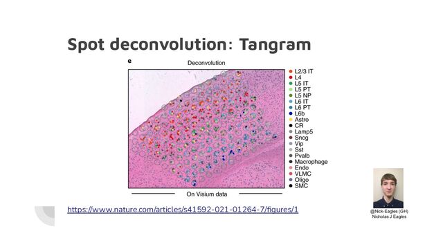 Spot deconvolution: Tangram
https://www.nature.com/articles/s41592-021-01264-7/ﬁgures/1 @Nick-Eagles (GH)
Nicholas J Eagles
