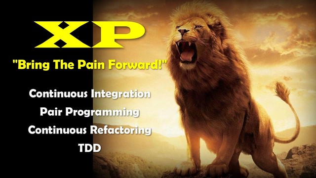 Continuous Integration
Pair Programming
Continuous Refactoring
TDD
XP
"Bring The Pain Forward!"
