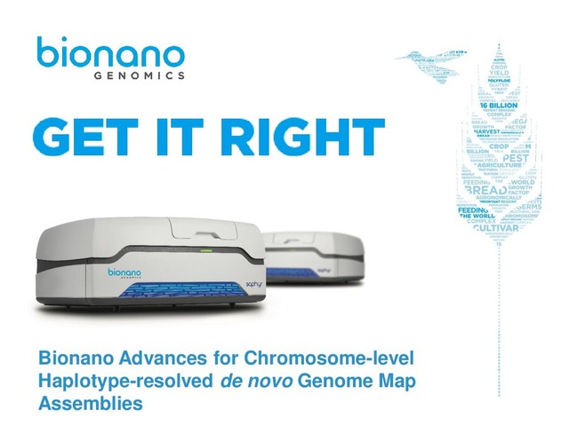 1
Bionano Advances for Chromosome-level
Haplotype-resolved de novo Genome Map
Assemblies
