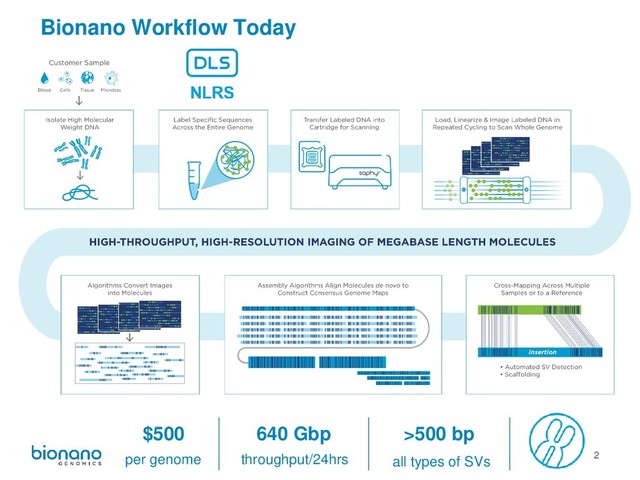 2
Bionano Workflow Today
per genome throughput/24hrs all types of SVs
$500 640 Gbp >500 bp

