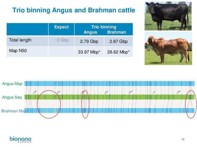 14
Trio binning Angus and Brahman cattle
Expect Trio binning
Angus Brahman
ES ES + Hap
refinement
Total length ~3 Gbp 2.79 Gbp 2.87 Gbp 3.37 Gbp 5.01 Gbp
Map N50 33.97 Mbp* 28.62 Mbp* 71 Mbp 69 Mbp
Angus Seq
Angus Map
Brahman Map
