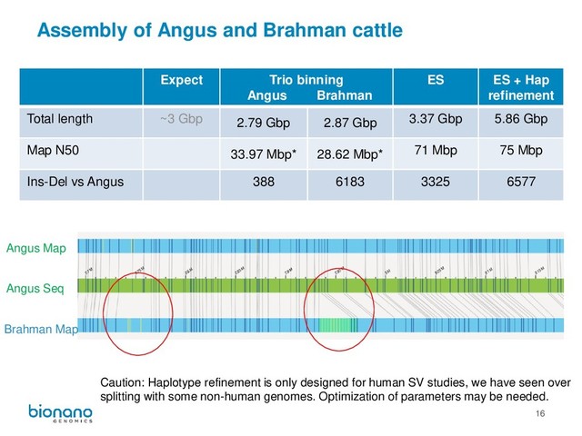 16
Assembly of Angus and Brahman cattle
Caution: Haplotype refinement is only designed for human SV studies, we have seen over
splitting with some non-human genomes. Optimization of parameters may be needed.
Expect Trio binning
Angus Brahman
ES ES + Hap
refinement
Total length ~3 Gbp 2.79 Gbp 2.87 Gbp 3.37 Gbp 5.86 Gbp
Map N50 33.97 Mbp* 28.62 Mbp* 71 Mbp 75 Mbp
Ins-Del vs Angus 388 6183 3325 6577
Angus Seq
Angus Map
Brahman Map

