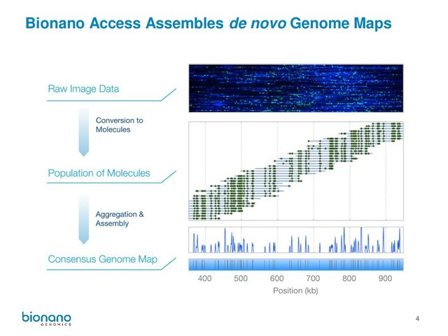 4
Bionano Access Assembles de novo Genome Maps

