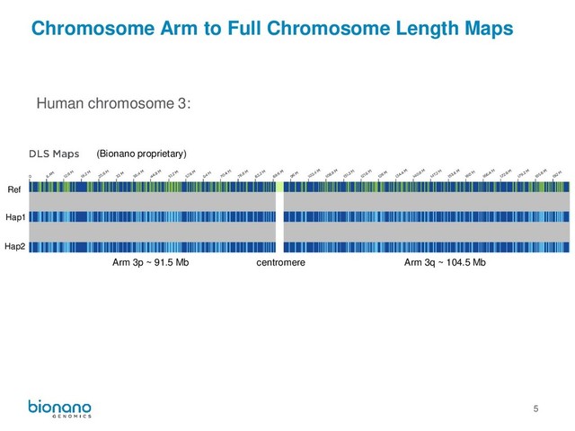 5
Chromosome Arm to Full Chromosome Length Maps
Arm 3p ~ 91.5 Mb centromere Arm 3q ~ 104.5 Mb
(Bionano proprietary)
Ref
Hap1
Hap2
Human chromosome 3:
